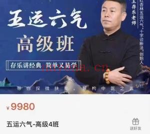王存乐五运六气子午流注子午运气小儿推拿初中高课程