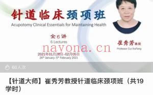 崔秀芳针道筑基逍遥游针道临床腰腹胸背髋关节颈项班6套课程百度网盘分享
