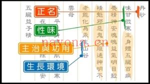 台湾版中医课程4套（中医临床简介6讲+中药概论10讲+中药炮制应用6讲+中药临床运用6讲）共28讲高清视频