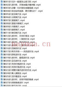 学针灸必须珍藏的一套课：针灸针刺技巧大全 116节 超清视频 全程干货