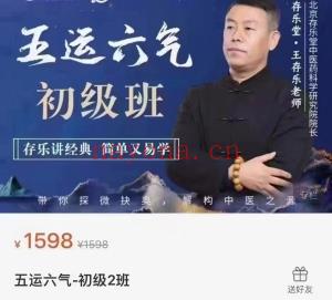 王存乐五运六气子午流注子午运气小儿推拿初中高课程