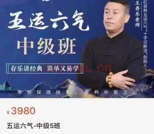 王存乐五运六气子午流注子午运气小儿推拿初中高课程