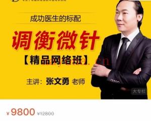 张文勇中国调衡针灸调衡微针全息调衡课程百度网盘分享
