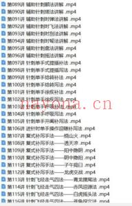 学针灸必须珍藏的一套课:针灸针刺技巧大全 116节 超清视频 全程干货