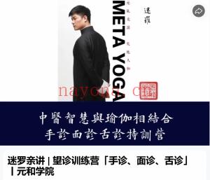 迷罗亲讲 望诊训练营「手诊、面诊、舌诊」 丨元和学院 全44讲视频课百度网盘分享