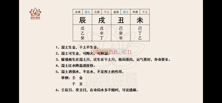 如是禅说 明玄《四柱学高阶班》21集视频课