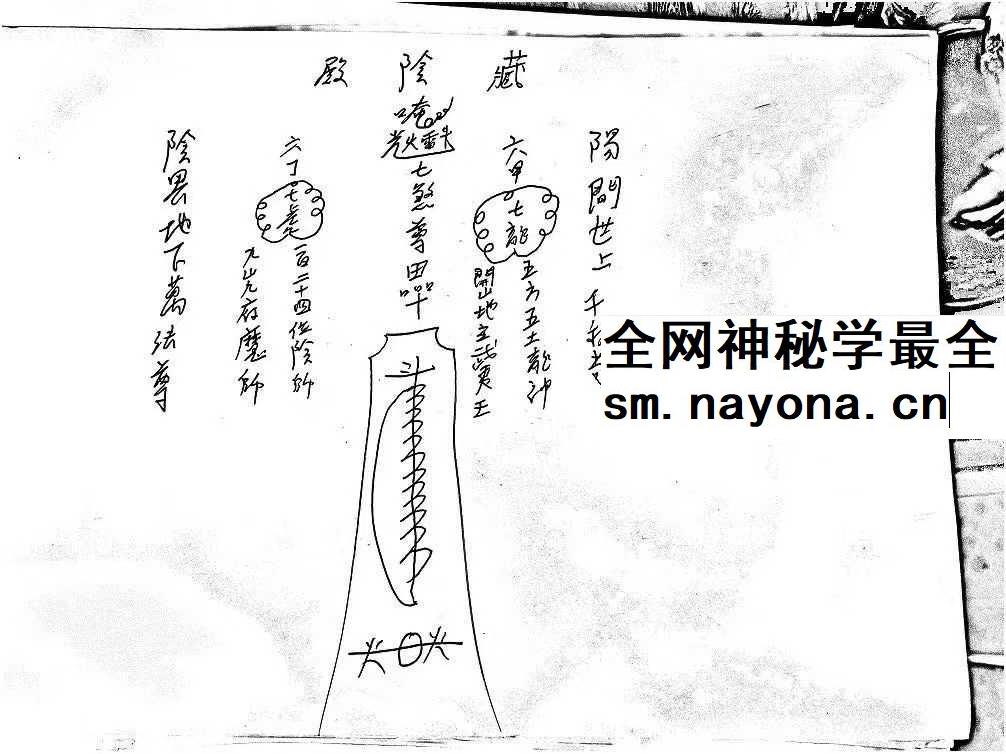 《茅山半路教》41页