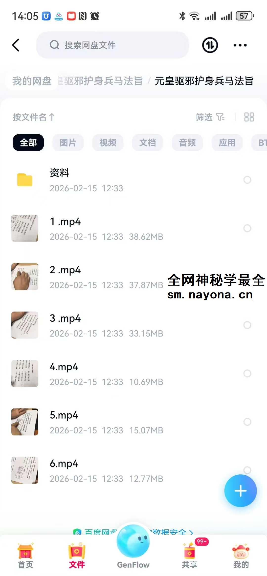 元皇驱邪护身兵马法旨 视频+资料