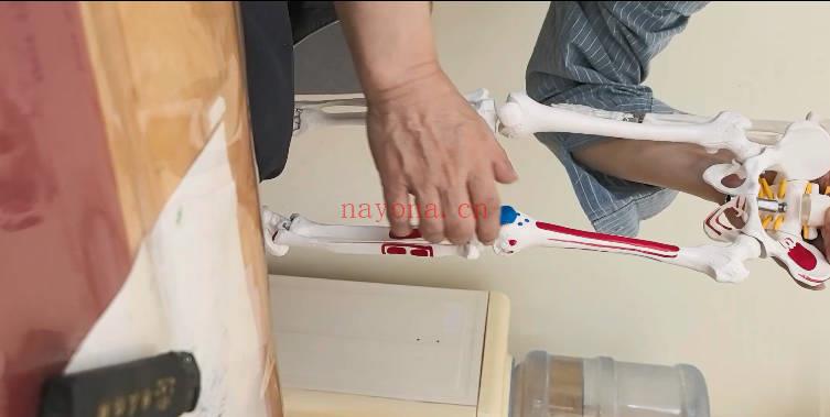 王姓老师《道医实战课》50集视频