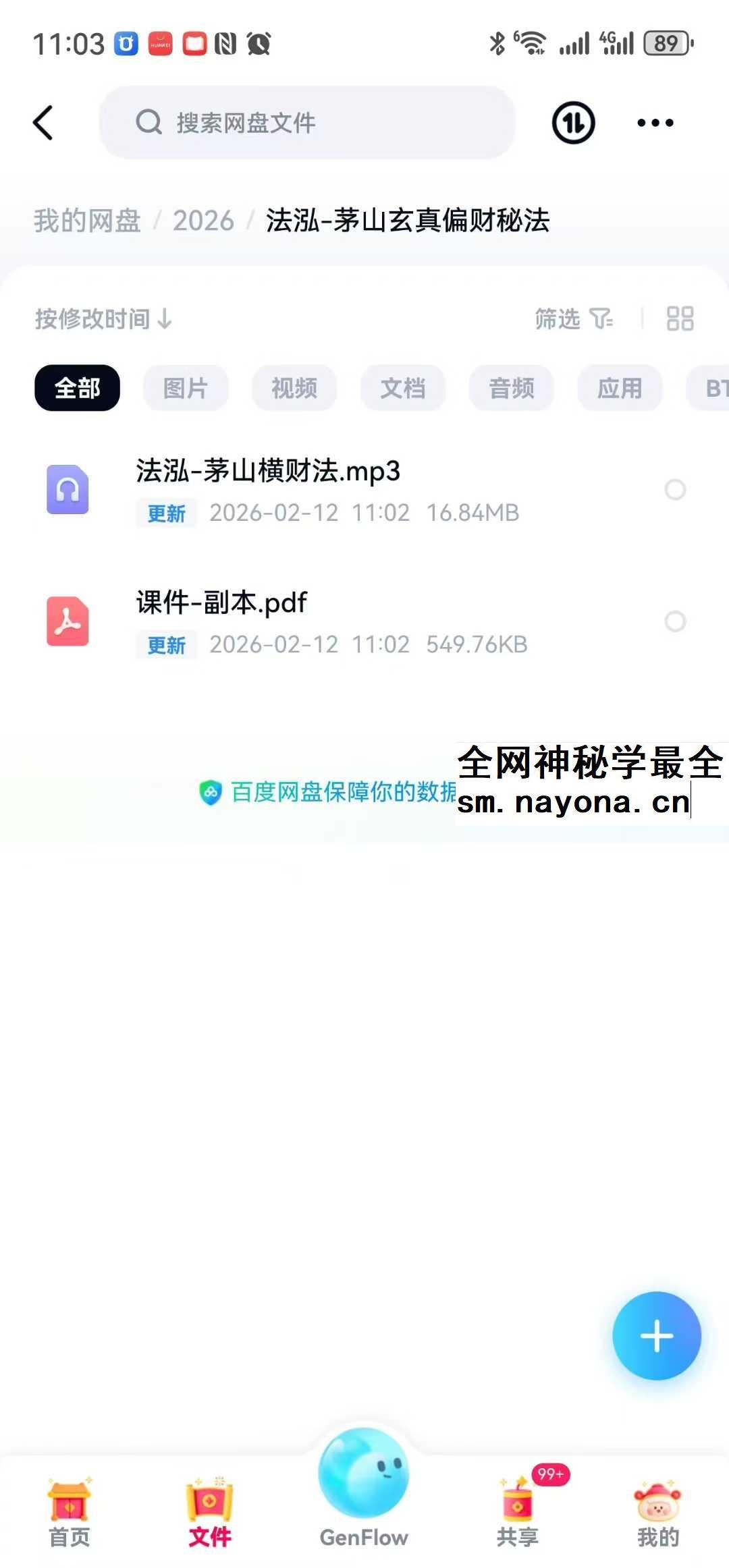 法泓《茅山玄真偏财秘法》视频+文档
