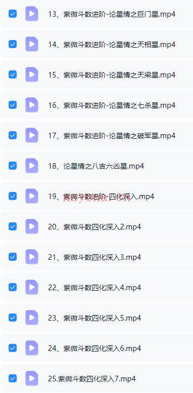 午阳《紫薇斗数》25集 视频+课件