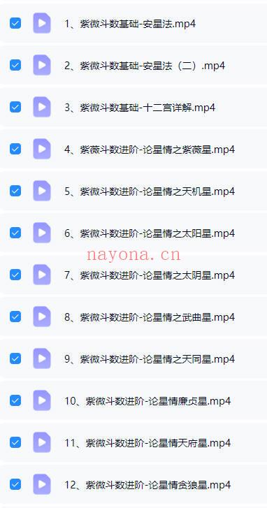 午阳《紫薇斗数》25集 视频+课件