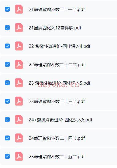 午阳《紫薇斗数》25集 视频+课件