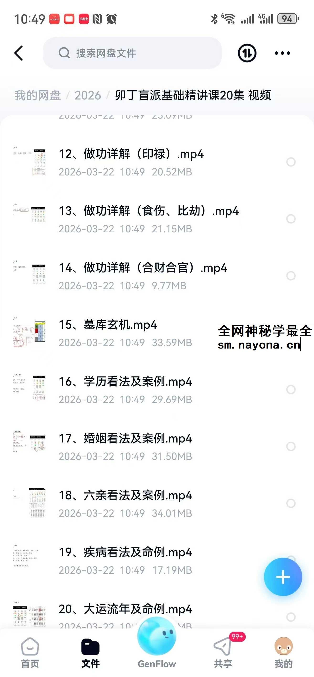 卯丁盲派基础精讲课20集 视频