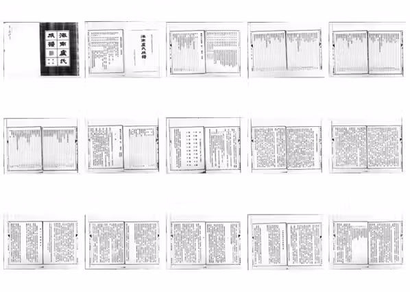 C0989_海南卢氏族谱_一.pdf[地方藏谱] - A更新
