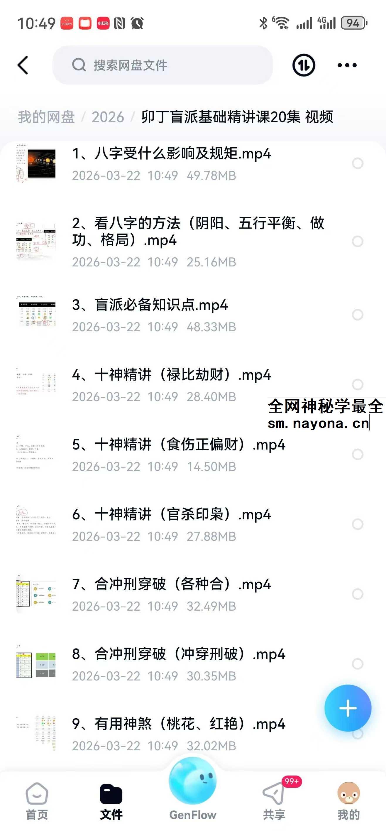 卯丁盲派基础精讲课20集 视频