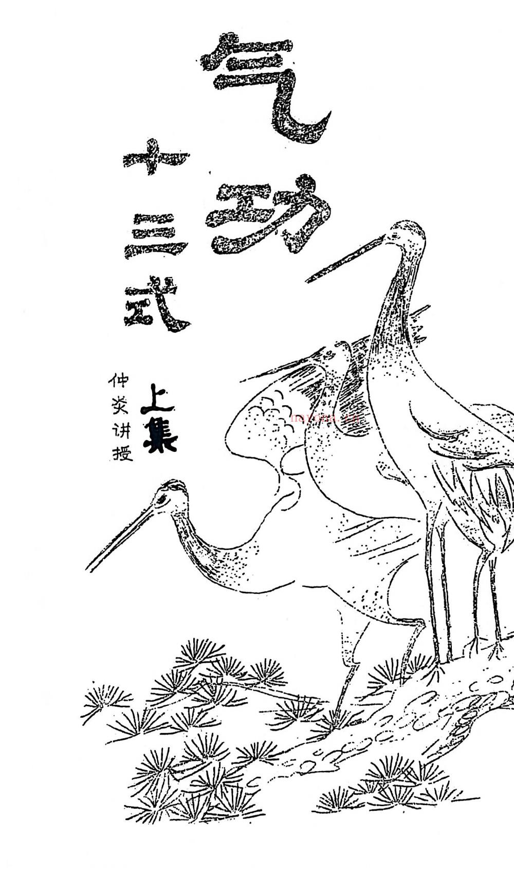 气功十三式上下合集57页电子版 高端法本
