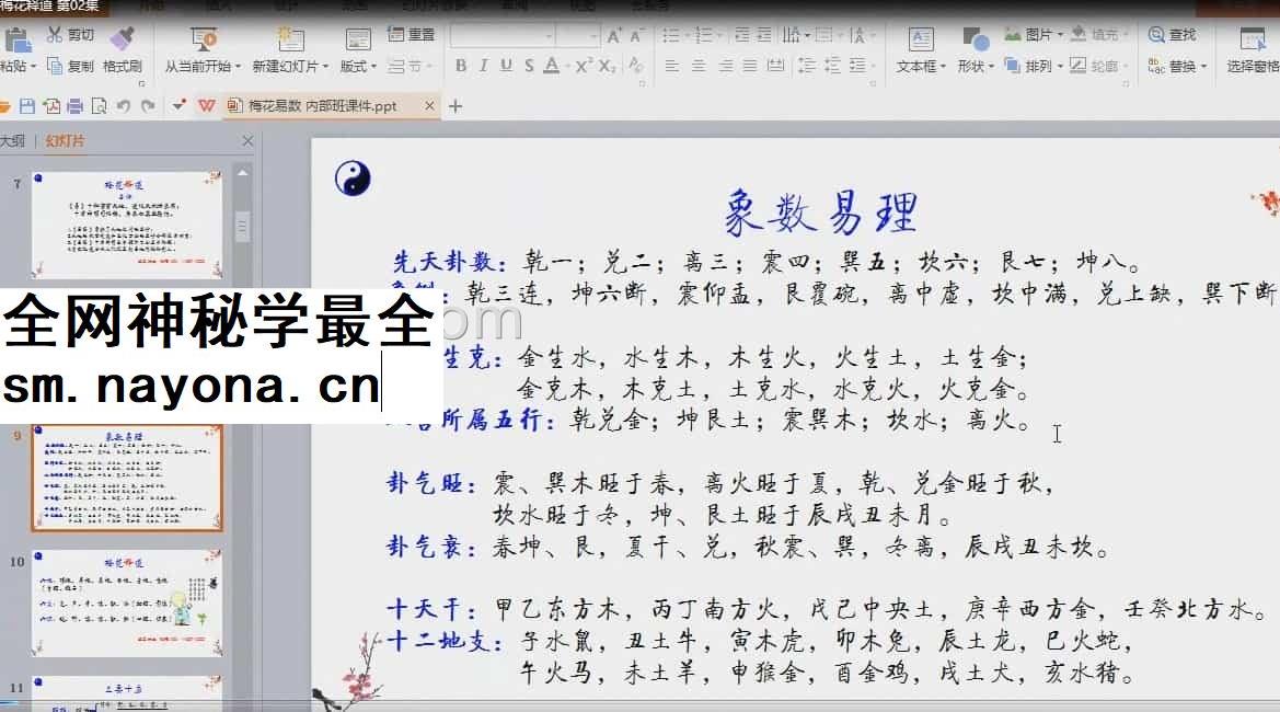 缘易老师 梅花释道视频19节合集视频教学插图
