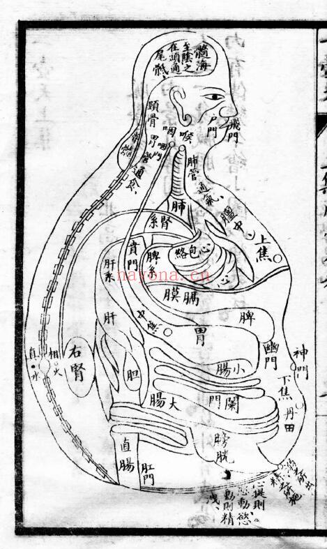 中医古籍《一壶天》杨体仁着.上中下3册 中医 第5张