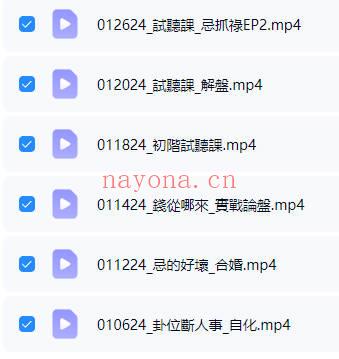 丁旭清2025紫薇斗数合集 视频+音频+课件全套 七玄资料