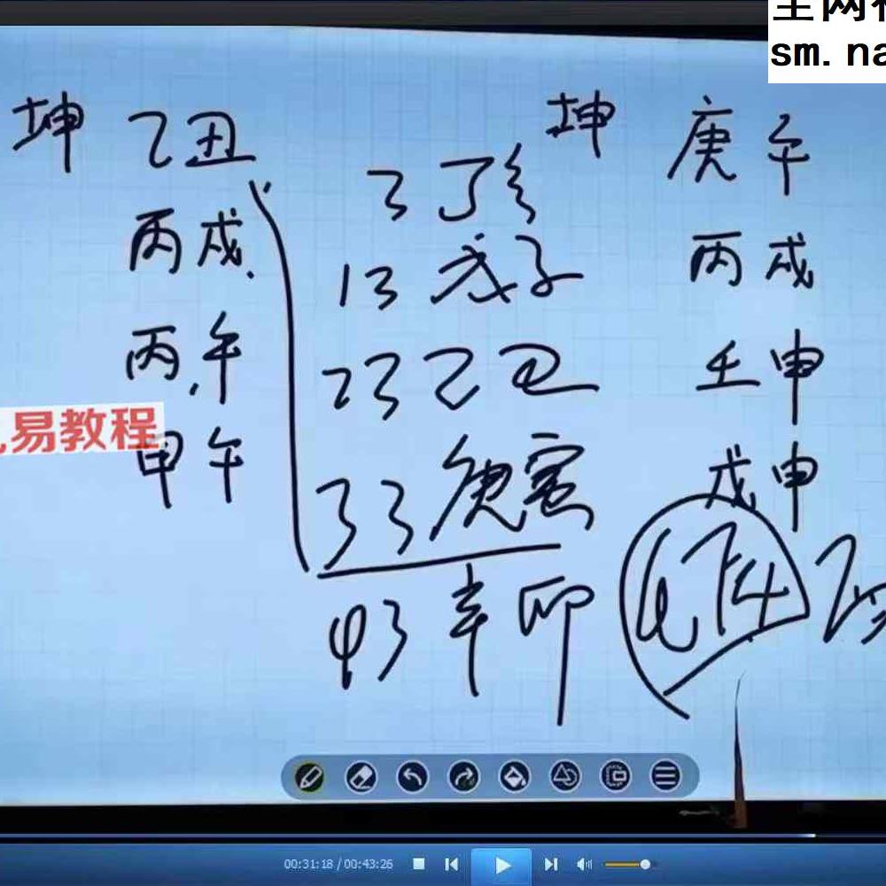杨春波24年郑州班面授课程视频34集