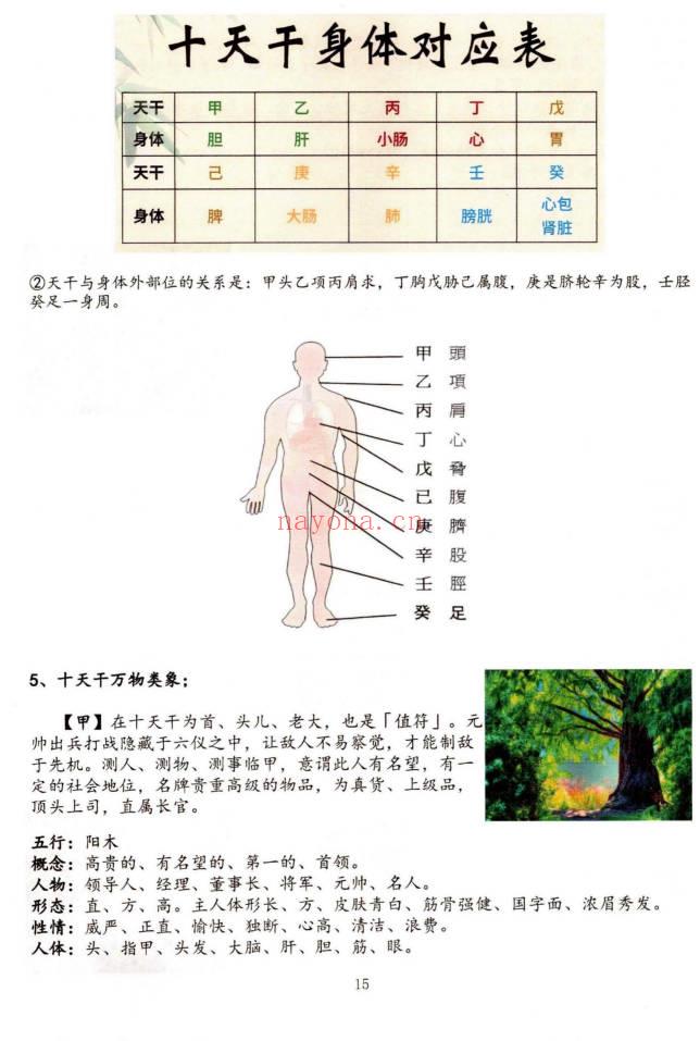 子辰阴盘奇门预测化解二合一 奇门遁甲新编219页彩色PDF 七玄资料