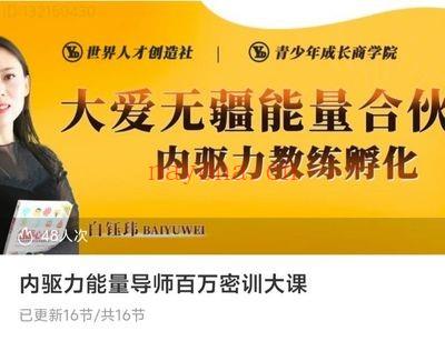 白钰玮内驱力能量导师百万密训大课16集视频 七玄资料