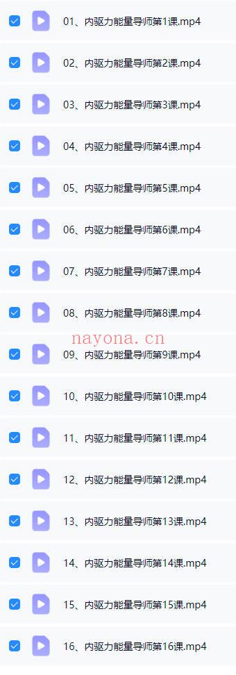 白钰玮内驱力能量导师百万密训大课16集视频 七玄资料