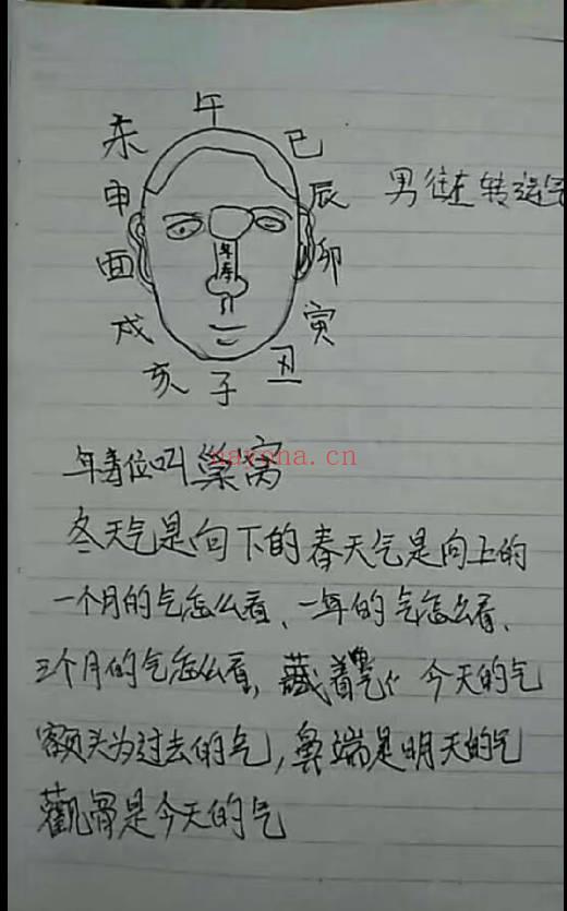张秀梅面授笔记54页+授徒笔记36页 秘传相法资料