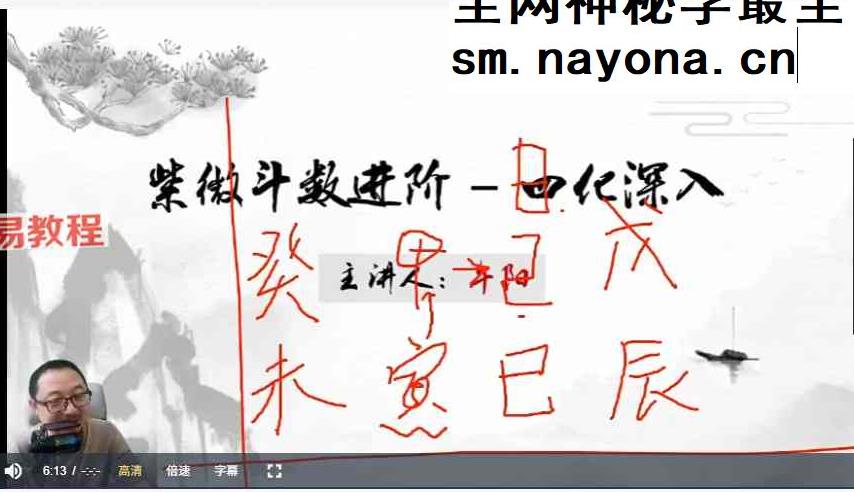 午阳紫薇斗数25集视频+课件pdf
