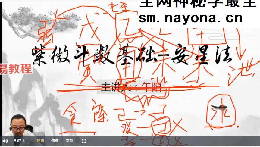 午阳紫薇斗数25集视频+课件pdf