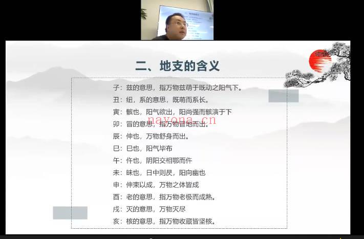 道加老师四柱八字全阶山渊技能课14集视频