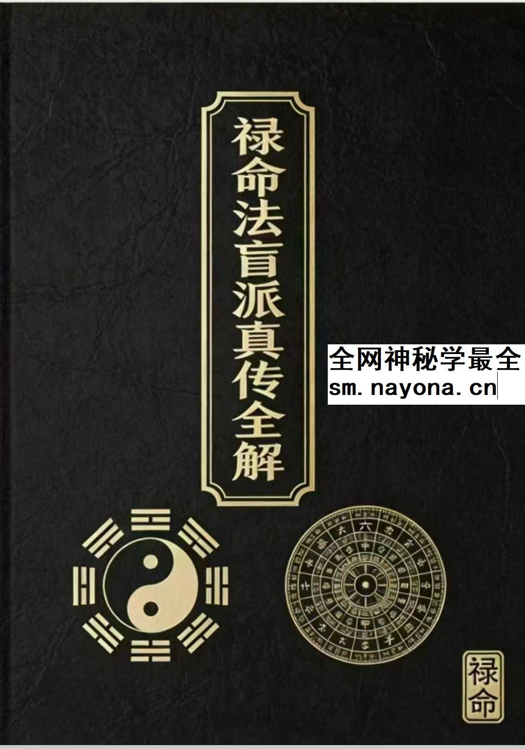 杨春波 盲派九窍断命法《禄命法盲派真传全解》410页