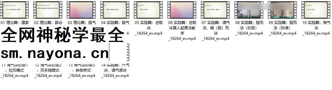 260344 X杨光 道家正宗服气辟谷术14集插图