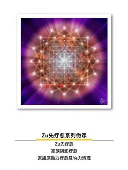图南心灵梅瑞迪斯家族树系列3集视频 家族系统课程