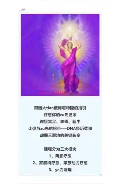 图南心灵梅瑞迪斯家族树系列3集视频 家族系统课程