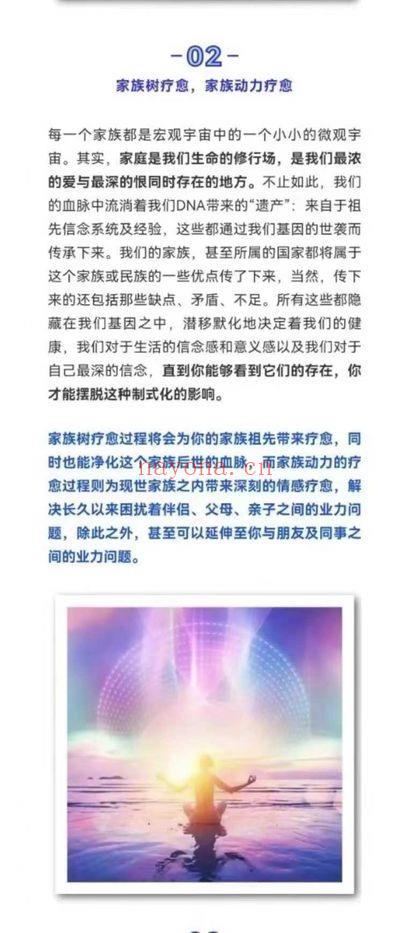 图南心灵梅瑞迪斯家族树系列3集视频 家族系统课程