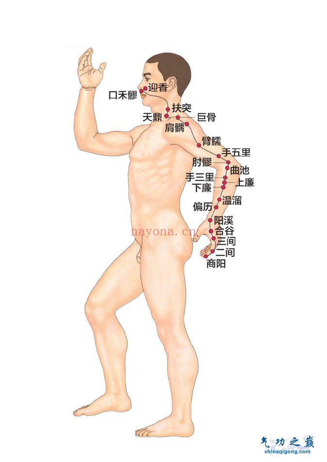 人体经络穴位实用手册
