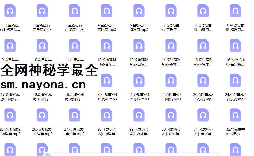 260462 金钱磁石【40节音频】《财富自由》潜意识音乐（特惠套装）插图