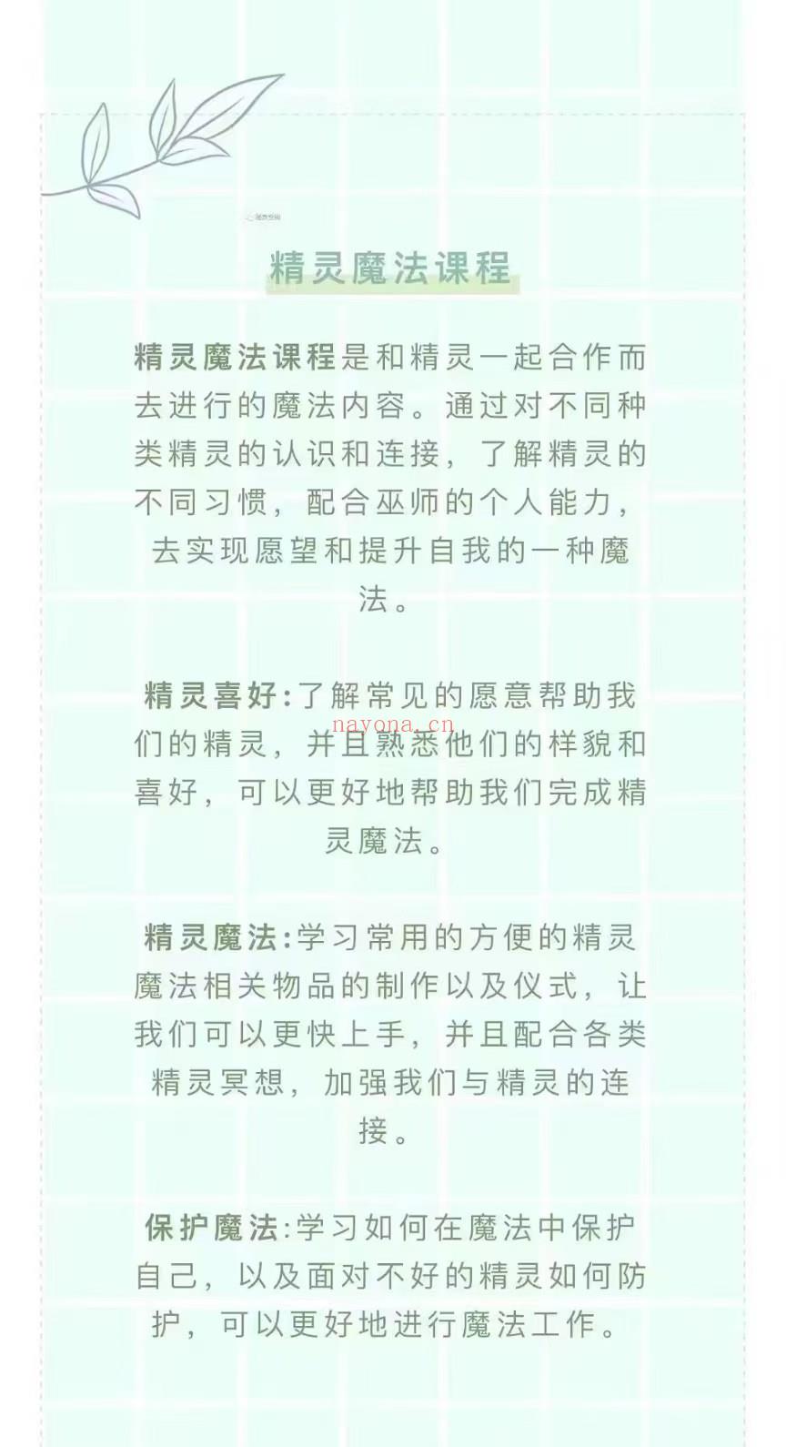 精灵魔法全阶课程