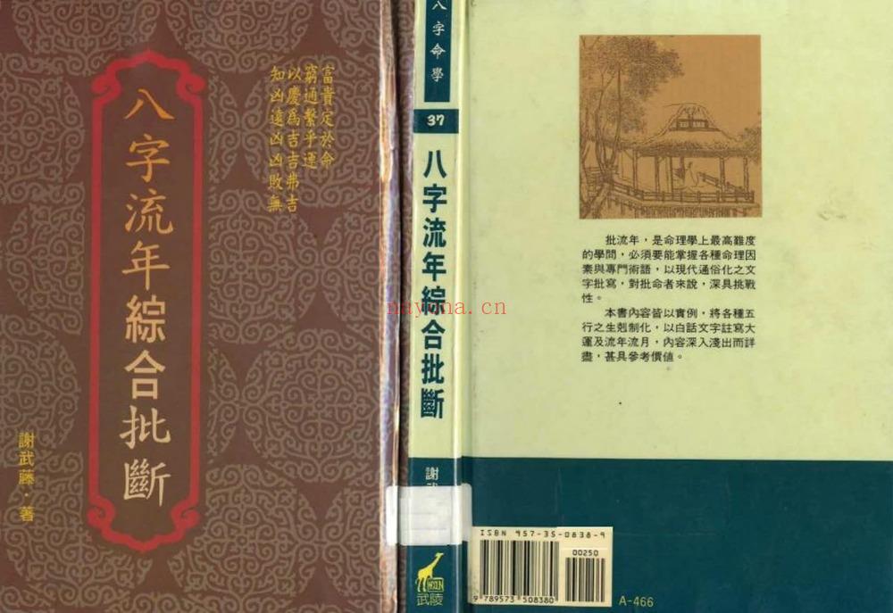 谢武藤《八字流年综合批断》PDF电子书（134页）