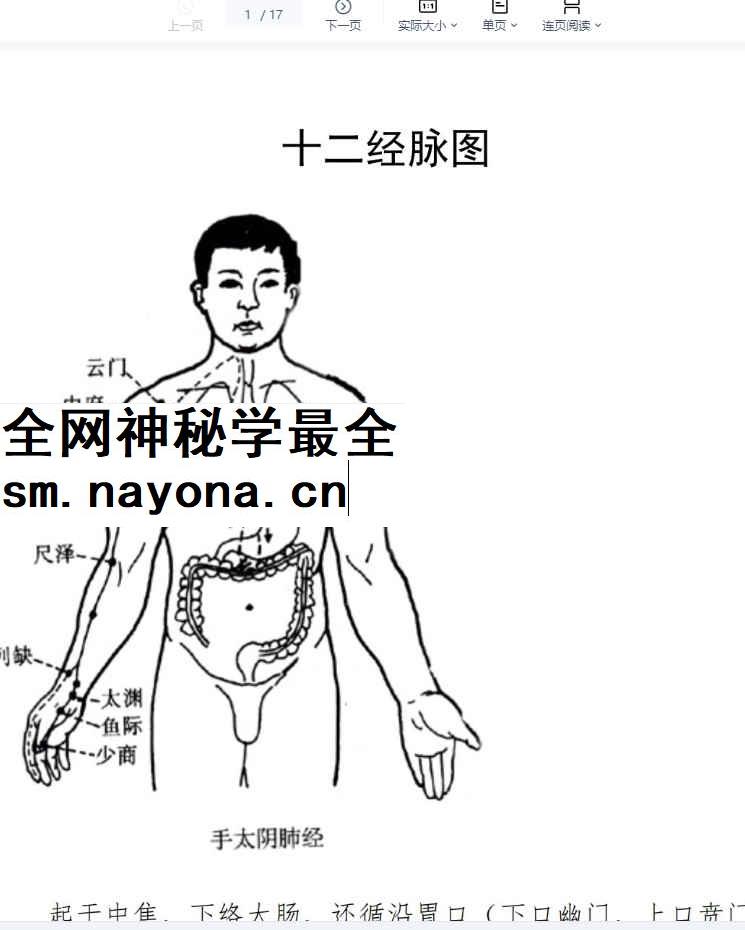 260317 十二经脉图.pdf 17P插图 260317 十二经脉图.pdf 17P插图