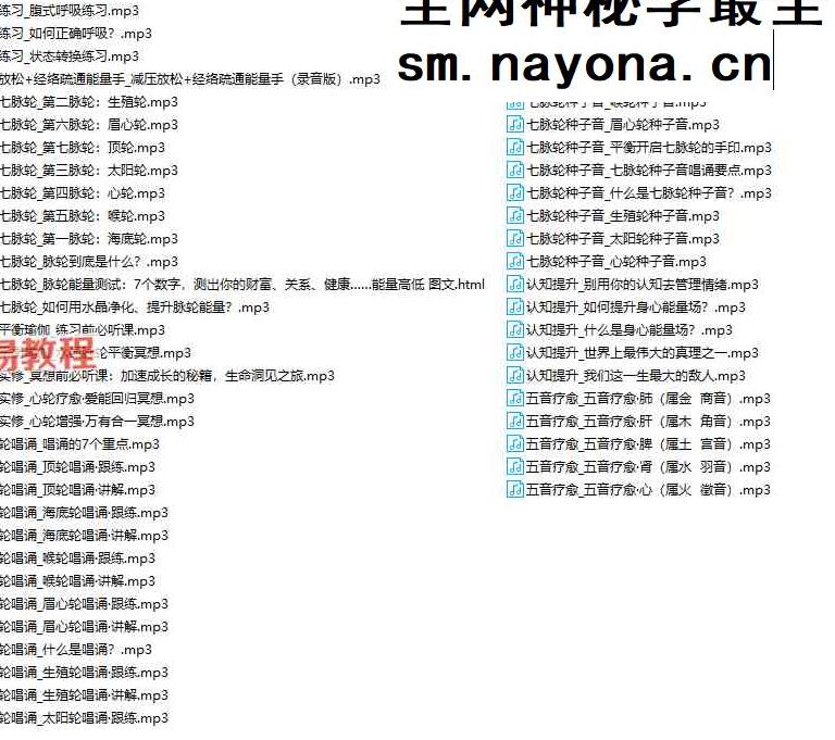 M【脉轮筑基】王彬白瑞莎身心能量提升课视频+录音