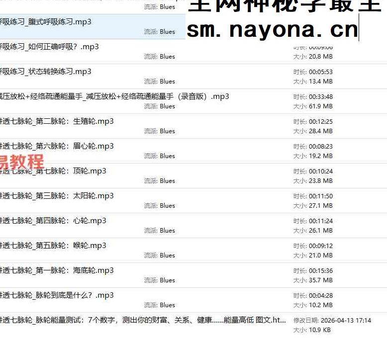 M【脉轮筑基】王彬白瑞莎身心能量提升课视频+录音