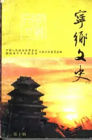 《2000年版宁乡文史  第10辑》封面 - 湖南省长沙市地方志PDF电子版