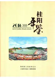 《2017年版桂阳年鉴 2016》封面