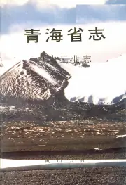 《青海省志电力工业志》封面 - 青海省省本级地方志PDF电子版