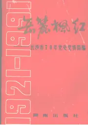 《1991年版岳麓枫红  长沙市七十年党史、党情简编》封面 - 湖南省长沙市地方志PDF电子版