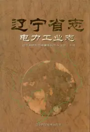 点击查看《辽宁省志电力工业志》封面大图 《辽宁省志电力工业志》封面 - 辽宁省省本级地方志PDF电子版