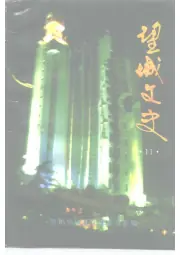 《1996年版望城文史 第11辑》封面